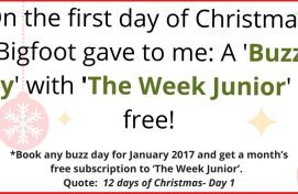 12 Days of Christmas special offers