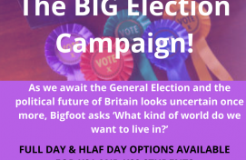 The BIG Election Campaign