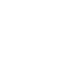 WFA white logo